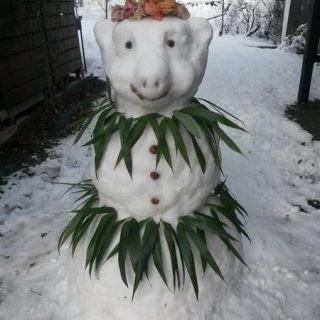 My snowman Coco