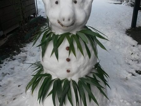 My snowman Coco