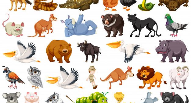 Zbirka divjih živali