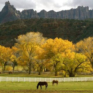 farm and country